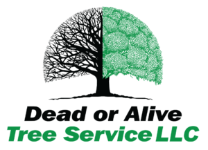 Dead or Alive Tree Service LLC Logo